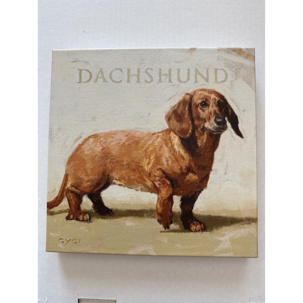 Dachshund 9"x 9" Wrapped Canvas Wall‎ Hanging/Shelf Sitter Made in USA